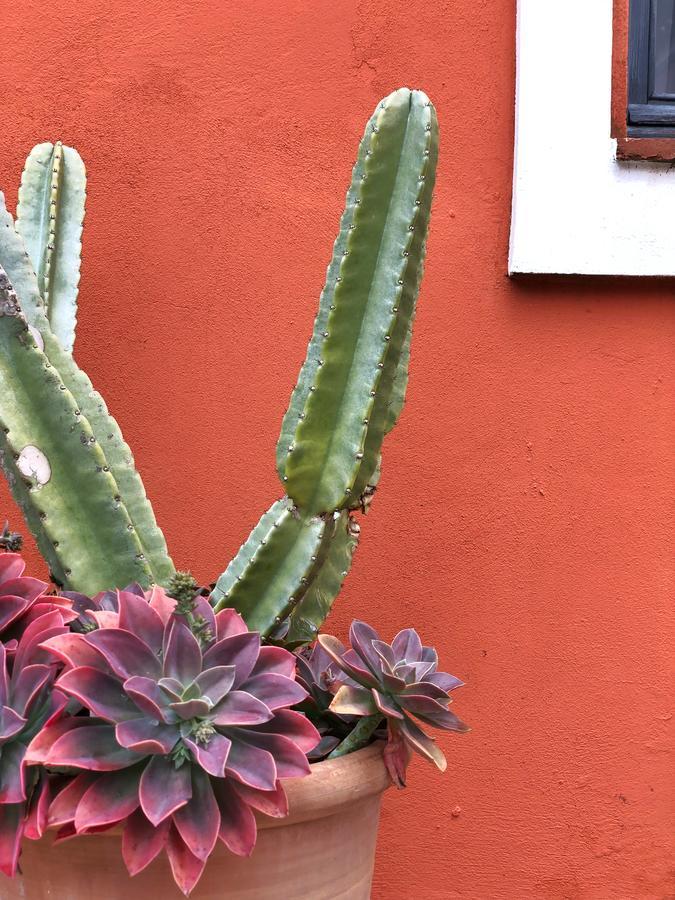 בית הארחה טריפה 	Cortijo El Pozuelo מראה חיצוני תמונה